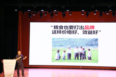 &ldquo;鄉村智庫&rdquo;、&ldquo;專家智匯&rdquo;共同加力麻章提速&ldquo;百千萬工程&rdquo;落實落細